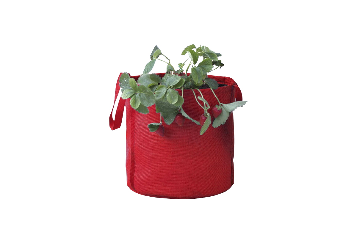 How Do Garden Grow Bags Enhance Plant Growth Compared to Standard Pots and Containers?